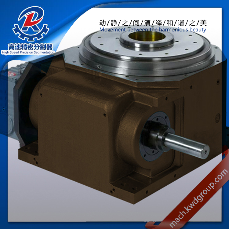 110 DT Seriers dividing head, Indexing drives, Cam Indexing